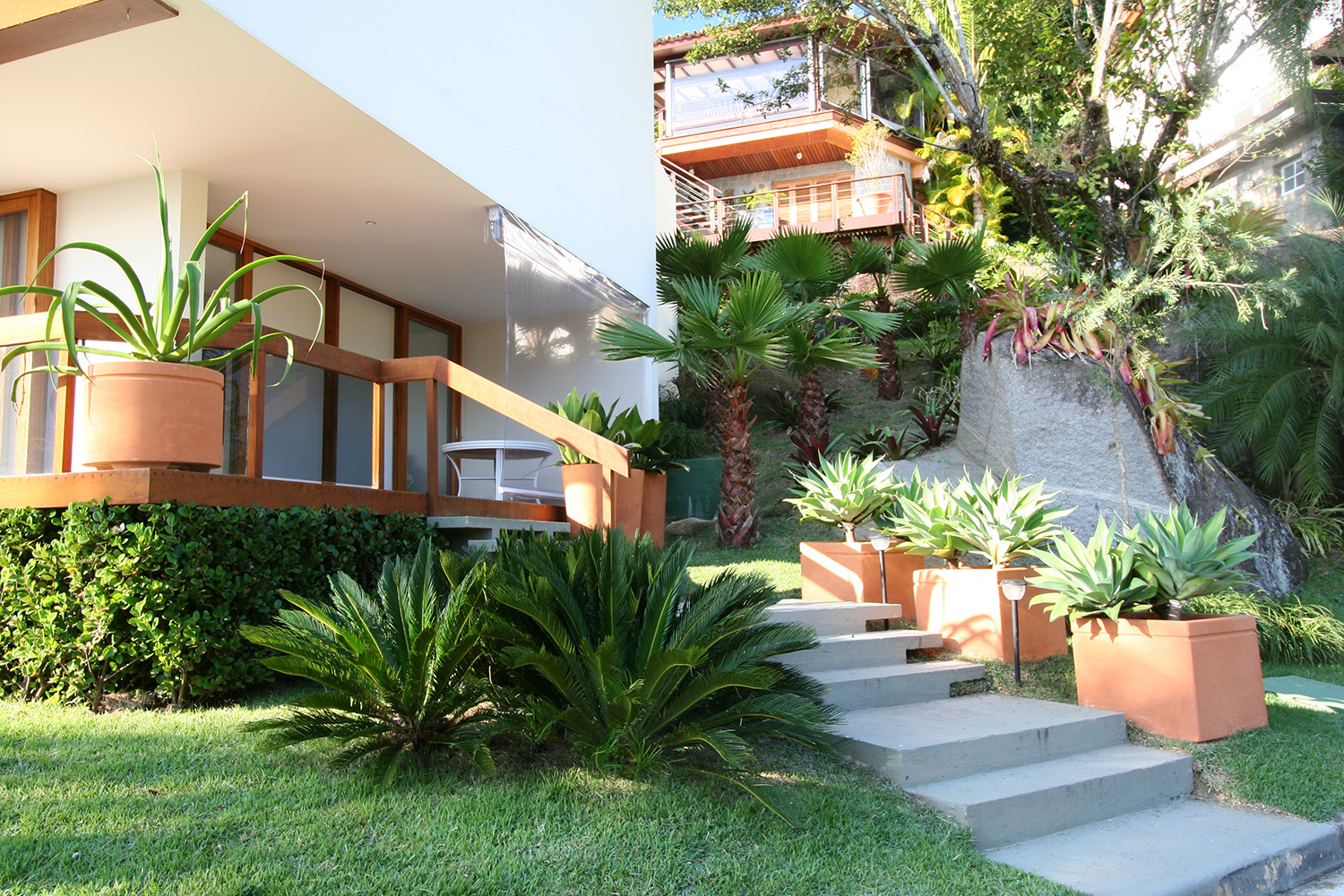 paisagismo Tropical Moderno