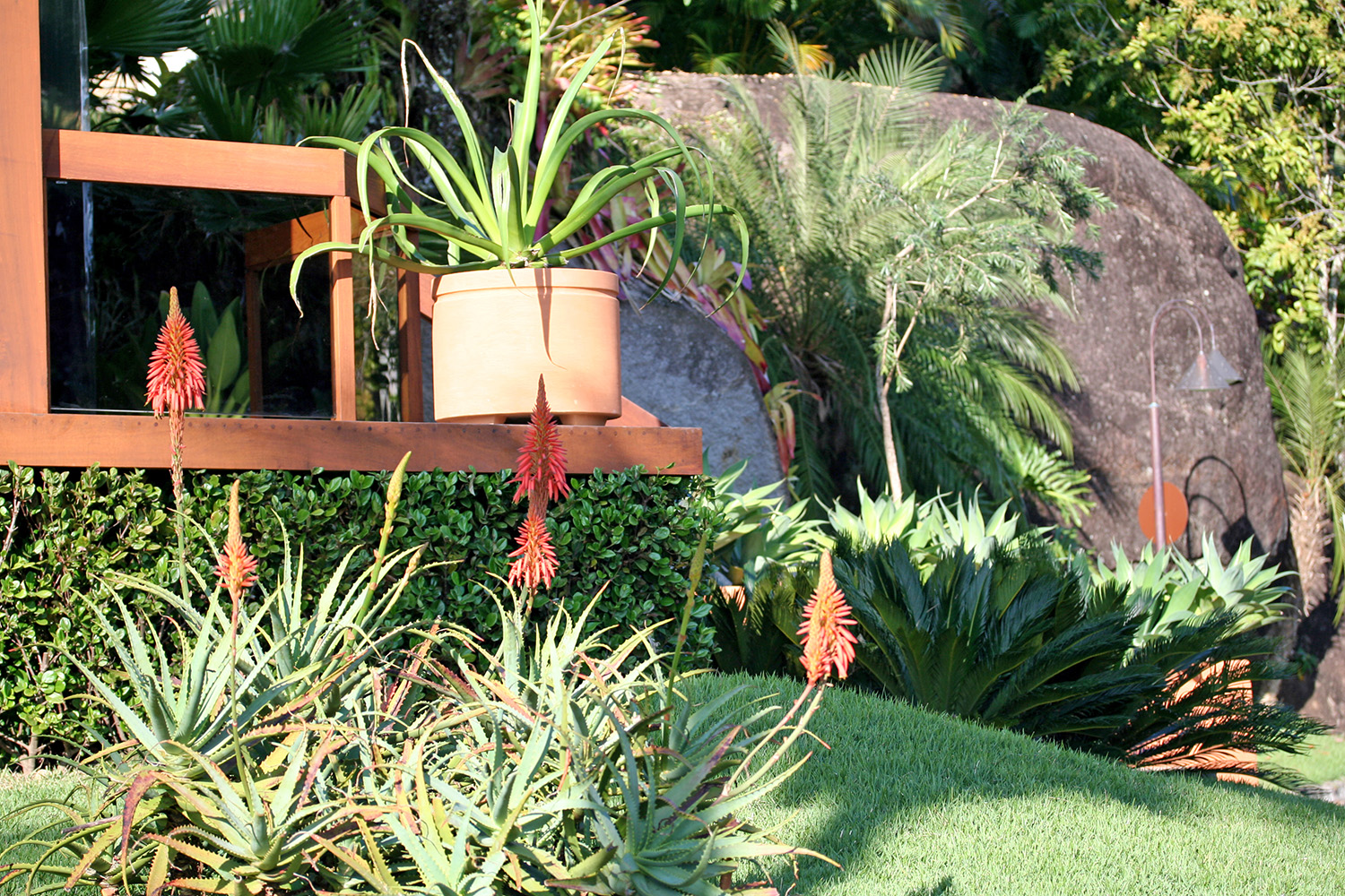 Jardim Tropical Moderno