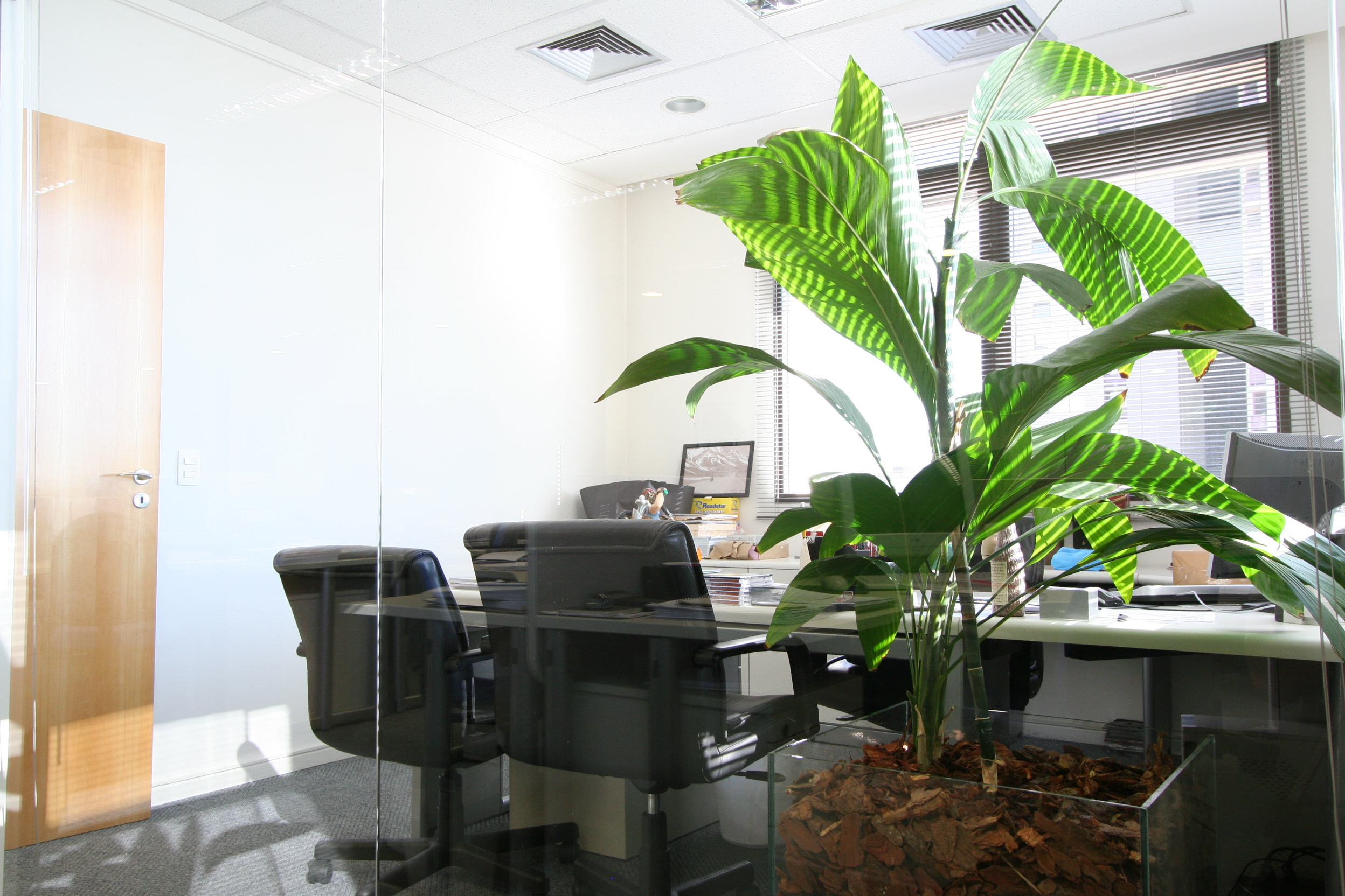 planta para escritório
