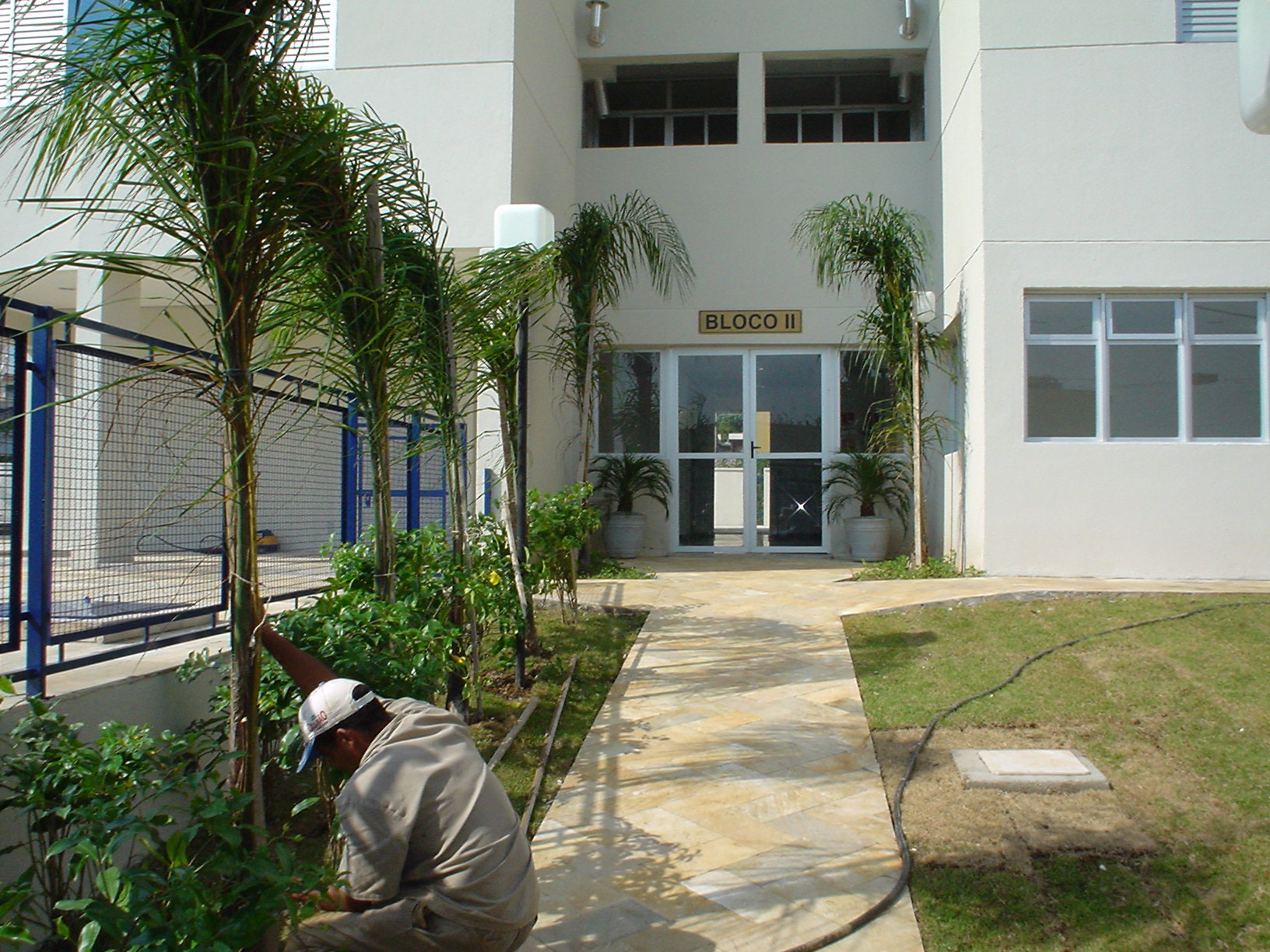 implantação paisagismo